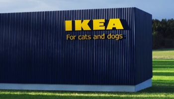 Ikea zamierza wprowadzić nową kolekcję. Ta wiadomość ucieszyła wszystkich właścicieli zwierząt