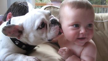 25 zdjęć, które udowadniają, że każde dziecko powinno być wychowywane ze zwierzakiem