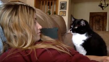 Kot w przeuroczy sposób próbuje zwrócić na siebie uwagę swojej mamy