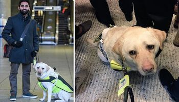 Niewidomy popłakał się po tym, jak pasażerowie potraktowali jego psa przewodnika w pociągu