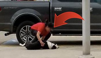 Siłą ciągnęła przestraszonego psa po ulicy. Chciała się go pozbyć