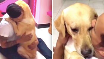 Pies przeszedł ciężką operację. Ponowne spotkanie czworonoga z właścicielem wzrusza do łez