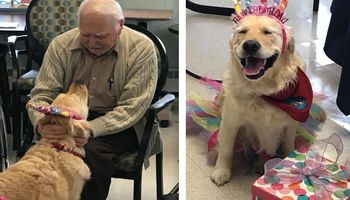 Pies terapeuta obchodził urodziny. Mieszkańcy domu spokojnej starości sprawili mu niespodziankę