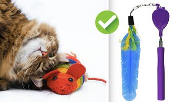 5 zabawek, które z pewnością pokocha twój kot. Są popularne wśród futrzaków na całym świecie