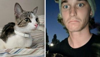 Przyniósł do domu bezdomną kotkę, a następnego ranka doznał wstrząsu życia