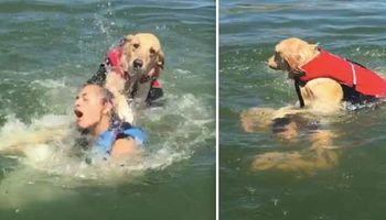 Pływała w psem w jeziorze. W pewnym momencie zabawa zamieniła się w przerażenie