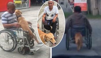 Pies pomaga swojemu panu pchać jego wózek inwalidzki. Para poruszyła serca tysięcy ludzi