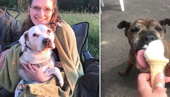 Założyła specjalne hospicjum dla starszych psów. „Chcę, aby ich ostatnie chwile były wyjątkowe”