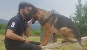 Pies bohater uratował wiele osób po trzęsieniu ziemi. Po wszystkim został otruty