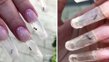 Paznokcie z żywymi mrówkami. Rosyjski salon pochwalił się nowym pomysłem na manicure