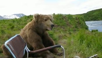 Odpoczywający przy rzece mężczyzna był przerażony, gdy podszedł do niego wielki niedźwiedź