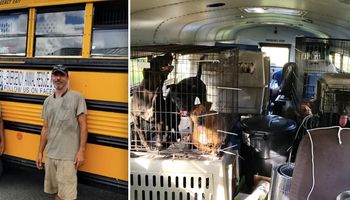 Kupił autobus, aby uratować zwierzaki przed nadchodzącym huraganem. Ocalił 64 z nich