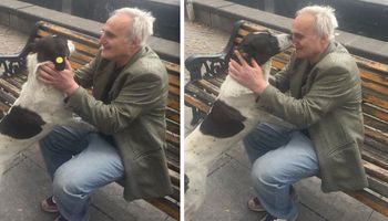 Mężczyzna znajduje swojego zagubionego psa na ulicy. Szukał go przez całe 3 lata