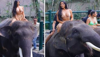 Kim Kardashian podzieliła się zdjęciem z wakacji, które wstrząsnęło miłośnikami zwierząt