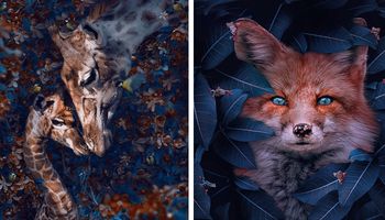 16 niesamowitych portretów zwierząt. Autor ma nadzieję, że jego prace podniosą świadomość ludzi