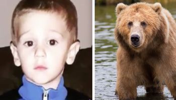 3-latek zaginął i znaleziono go w lesie. Opowiedział o spotkaniu oko w oko z niedźwiedziem