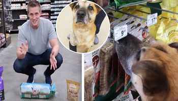 Zabrał starego psa ze schroniska do sklepu i kupił mu wszystko, czego dotknął swoim nosem