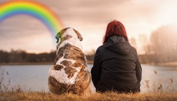 Oto, czym jest Tęczowy Most i jak wygląda. Wszystko wyjaśniają słowa starego poematu