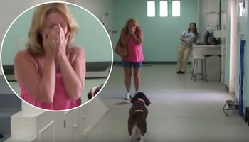 Popłakała się, gdy zobaczyła, że jej pies znów może chodzić. Weterynarze nie dawali mu szans