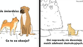 Typowe życie psów i kotów ukazane w 30 zabawnych ilustracjach