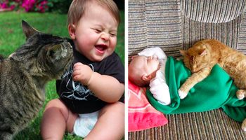 Słodkie zdjęcia kotów i dzieci – oto 30 najbardziej uroczych fotografii