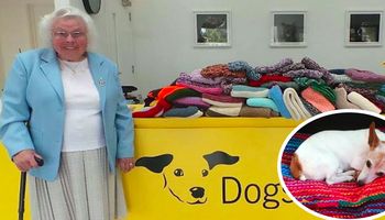89-latka udziergała aż 450 koców dla psów ze schroniska. Poruszyła miliony serc