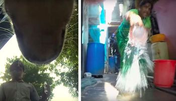 Przerażający filmik ukazuje, jak wygląda życie bezdomnego psa w Indiach. Serce się kraje