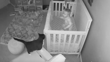 Domowy monitoring nagrał, co dziecko i kot wyprawiają w nocy