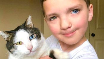 Urodził się z rozszczepem i heterochromią. Po 7 latach znalazł podobnego do siebie kota