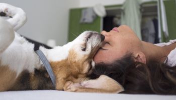 Kobiety wysypiają się bardziej, śpiąc z psem aniżeli z mężczyzną. Potwierdzają to badania!
