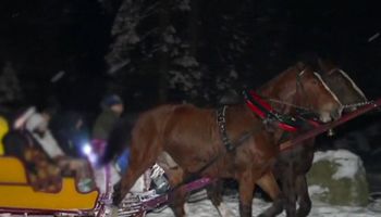 Konie znad Morskiego Oka jeżdżą teraz zdecydowanie dłużej. Winni temu są turyści