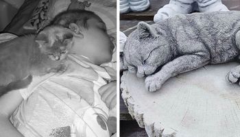 Skradziono rzeźbę kota z grobu Kacperka. Zwierzę było przy nim w ostatnich miesiącach życia