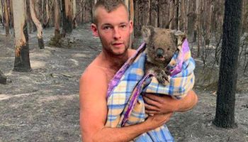 22-latek ryzykował własne życie, by uratować z pożarów w Australii 9 płaczących koali