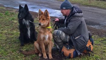 Paweł przez ponad rok szukał zaginionego psa. Jedna wiadomość zmieniła jego życie