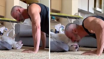 Pies i jego tata pokazali, jak najlepiej jest trenować podczas kwarantanny