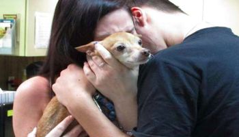 Zaginiony pies wrócił do swojej rodziny po 6 latach. Wszyscy płakali w czasie spotkania