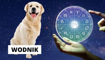Znaki zodiaku mogą sugerować, czy ty i twój pies do siebie pasujecie. U mnie się sprawdziło!