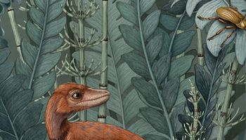 Nowo odkryty przodek dinozaurów zadziwia swoją wielkością