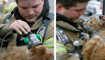 24 strażaków, którzy zaryzykowali życie, aby uratować koty z pożaru