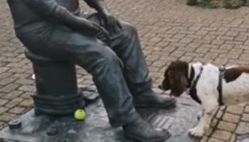 Przezabawna reakcja psa na „człowieka”, który nie chciał rzucić mu piłki