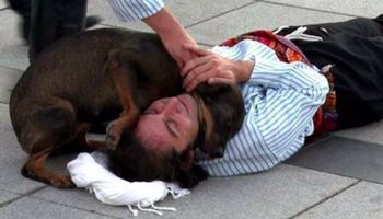 Bezdomny pies przerywa występ, aby pocieszyć leżącego na ziemi aktora