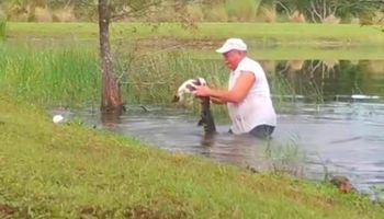 74-latek próbuje wyrwać swojego psa z paszczy aligatora. Przerażające nagranie