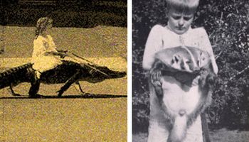 12 dziwnych zwierzaków w historii, które ludzie odważyli się posiadać