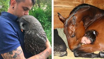 18 zwierzątek, które kochają przytulanie bardziej niż cokolwiek innego