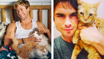 15 popularnych przystojniaków, którzy kochają kociaki z całego serca