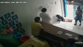 Bezdomny pies wchodzi do lecznicy i błaga o pomoc. Poruszające wideo z monitoringu