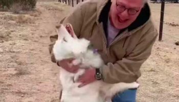 Niewidomy i niesłyszący pies rozpoznaje ukochanego dziadka po roku rozłąki