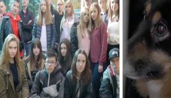 Polska młodzież nagrała wzruszającą piosenkę, aby pomóc starszym psom ze schroniska