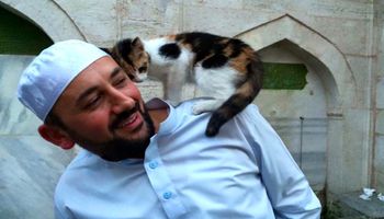 Mężczyzna otworzył drzwi meczetu dla bezdomnych kotów. Daje im ciepło i schronienie