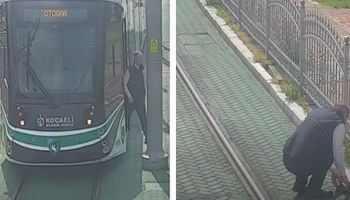 Motorniczy zatrzymał tramwaj, aby uratować żółwia. Zwierzak utknął na torowisku
